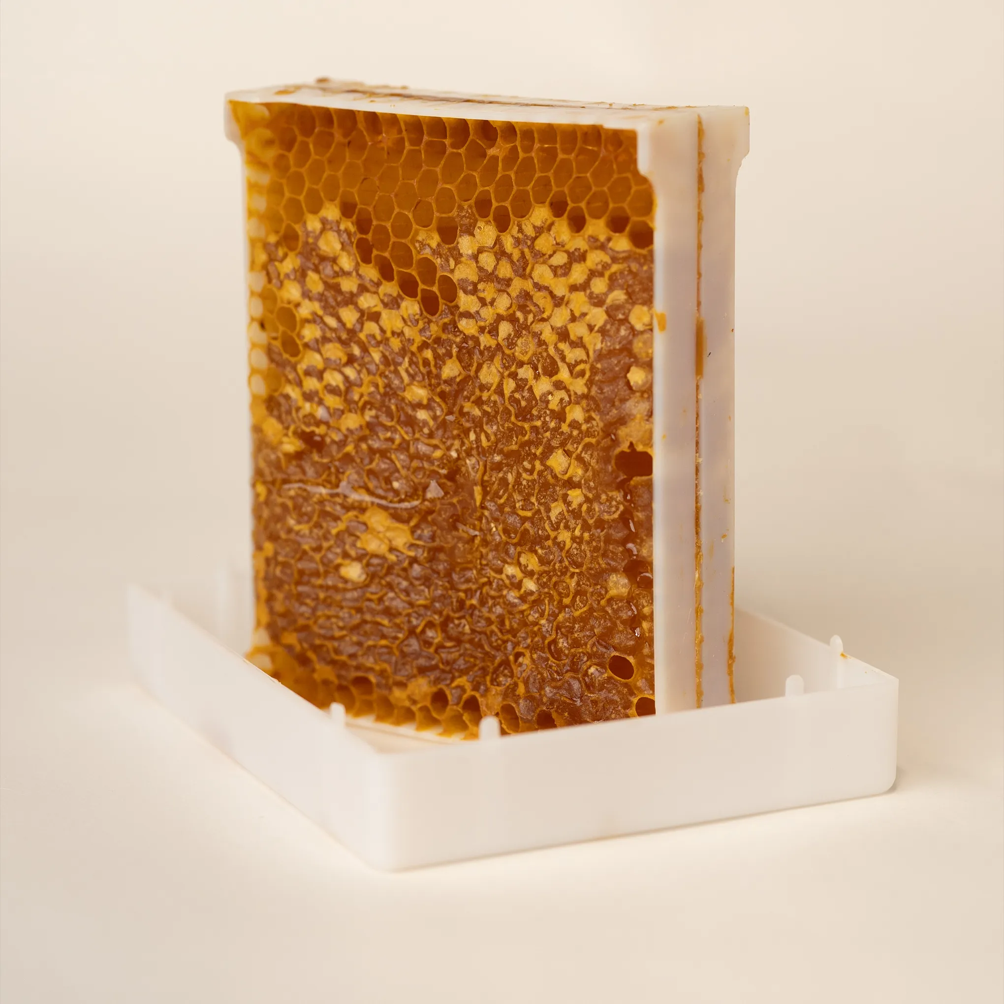 Favetto Aperto Verticale Apicoltura Valenti